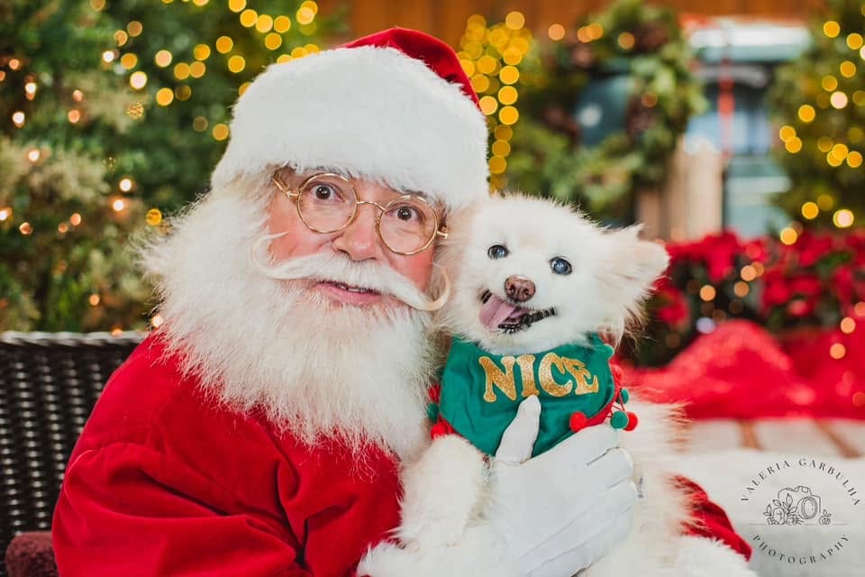 Santa with a white fluffy dog wearing a NICE sweater