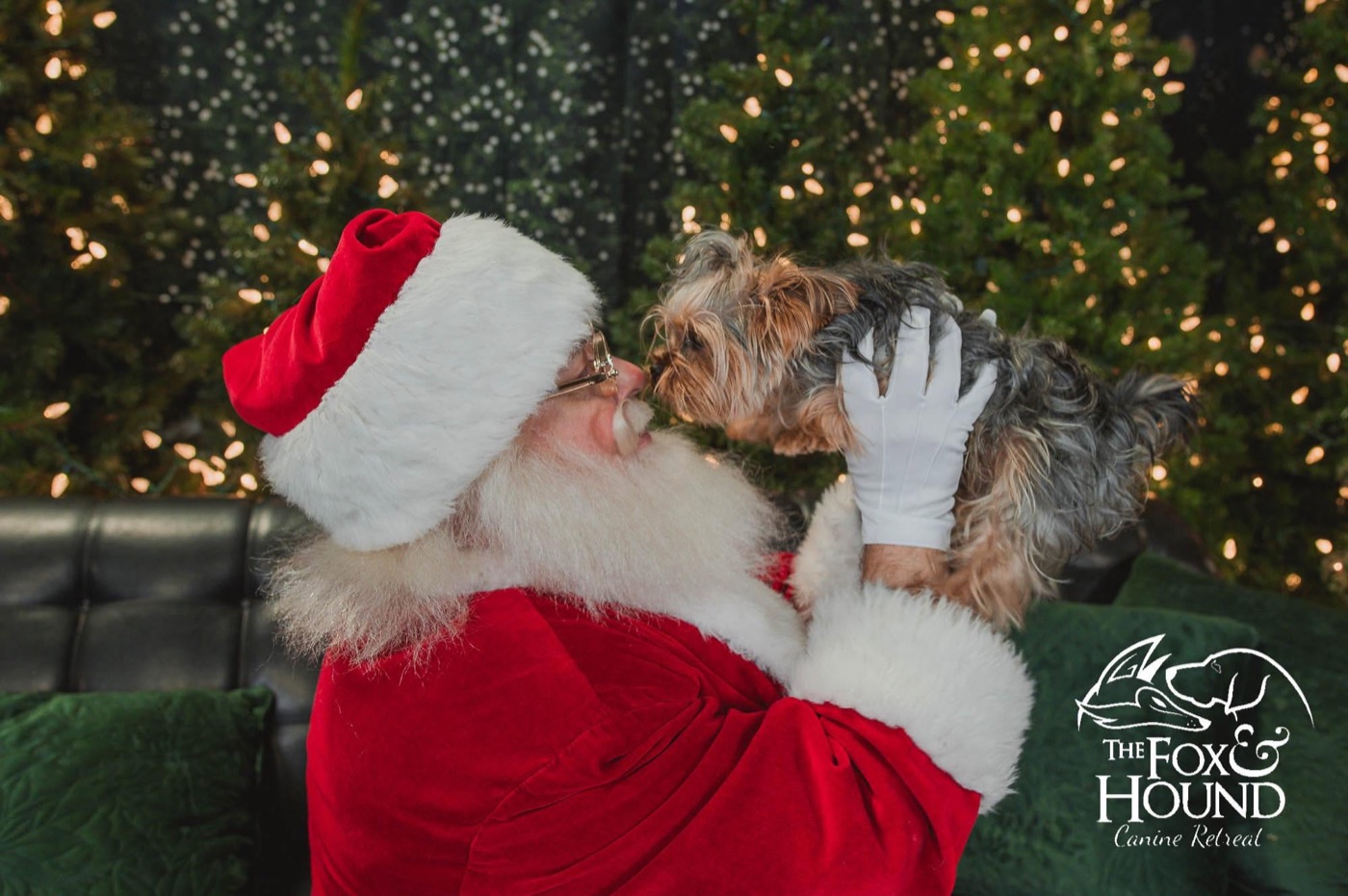 Santa giving a little Yorkie a kiss