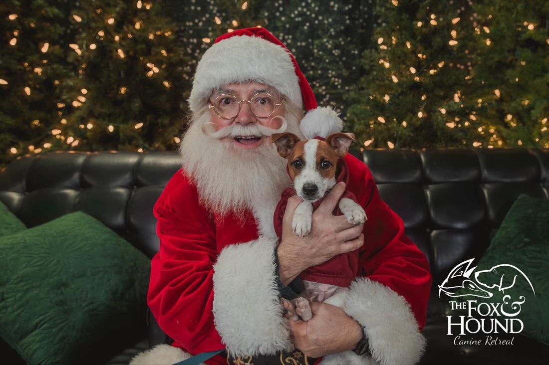 Santa holding a dog on his lap